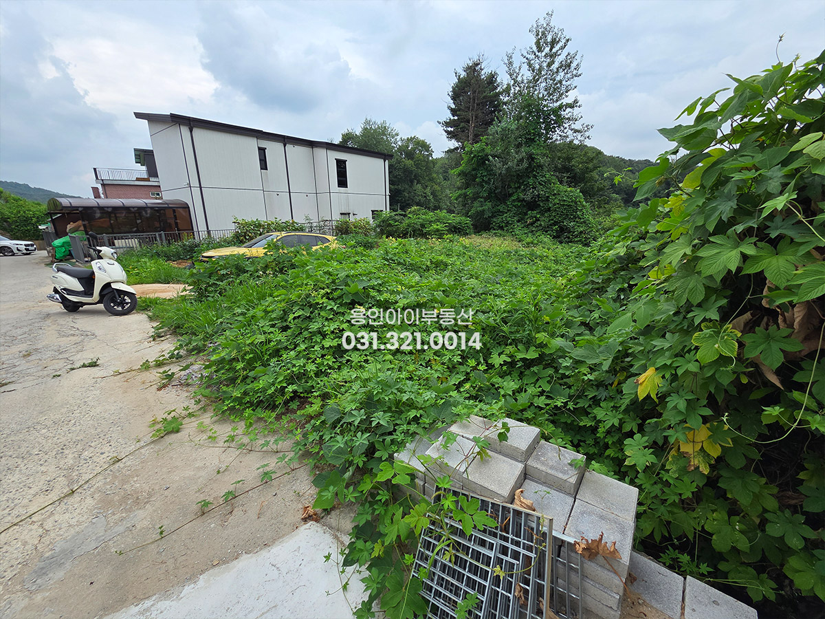 No.3961] 광주 도척면 방도리 토지매매, 양지 식금리와 접한 위치의 숲세권 조용한 전원생활 가능한 주택부지