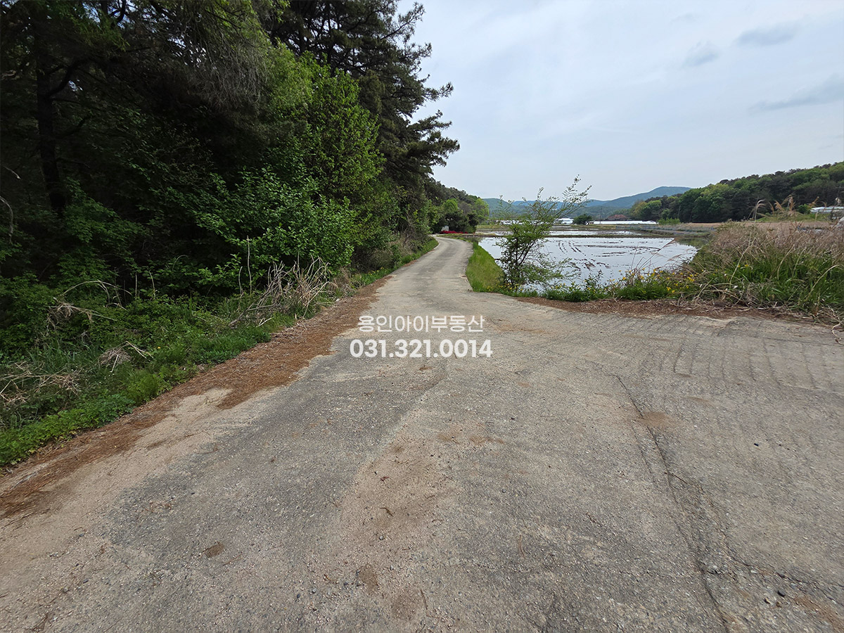 No.3821] 용인토지매매 백암면 가창리 생산관리 823평 평당50, 원삼SK하이닉스 6km, 조용한 숲세권