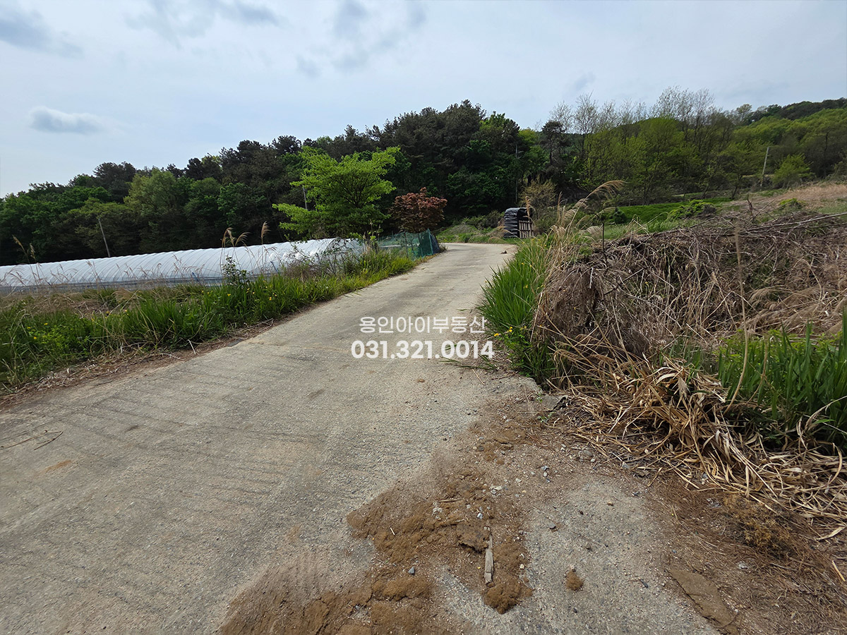 No.3821] 용인토지매매 백암면 가창리 생산관리 823평 평당50, 원삼SK하이닉스 6km, 조용한 숲세권