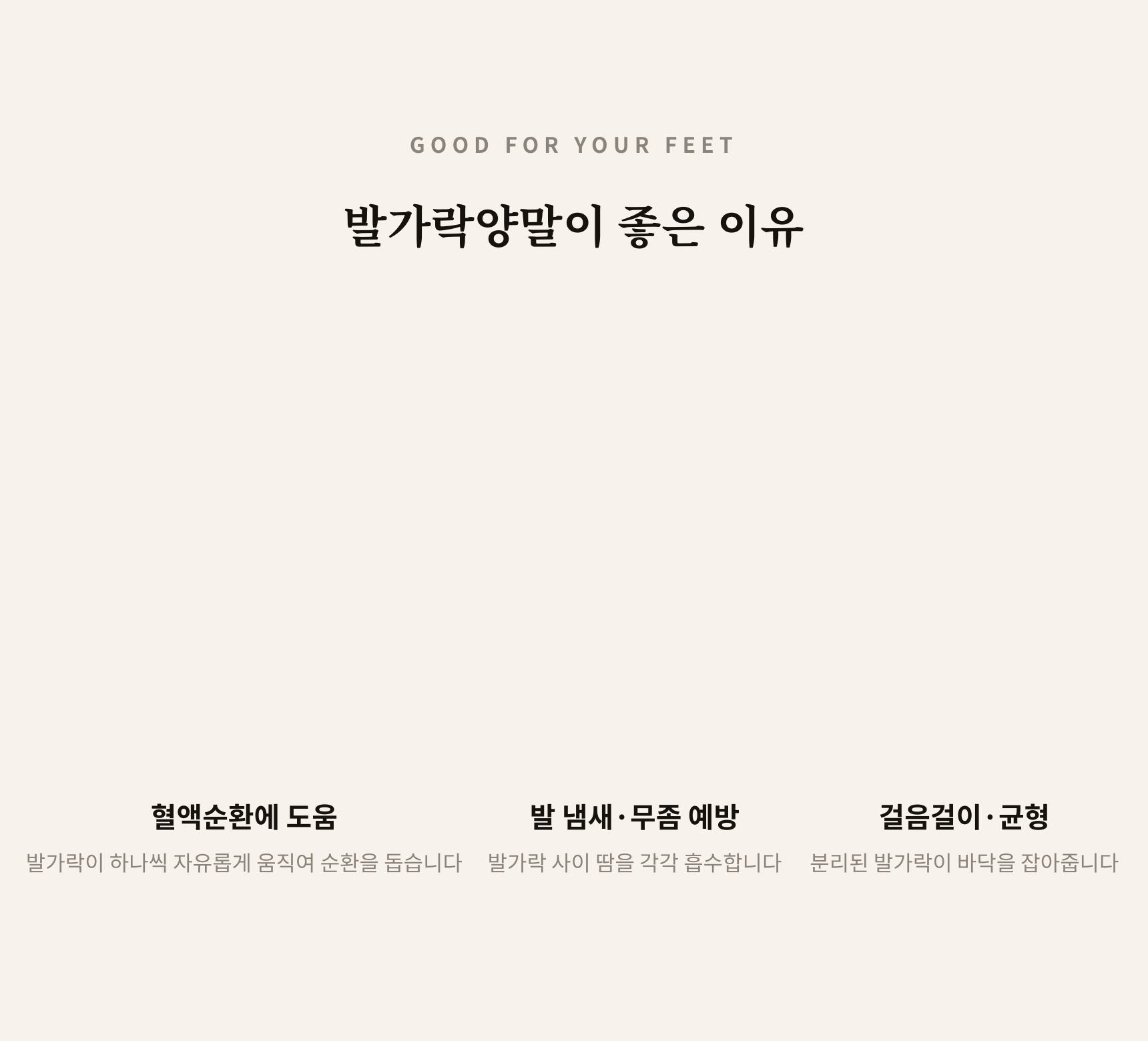 매일양말 발가락 양말 프리토 5days set