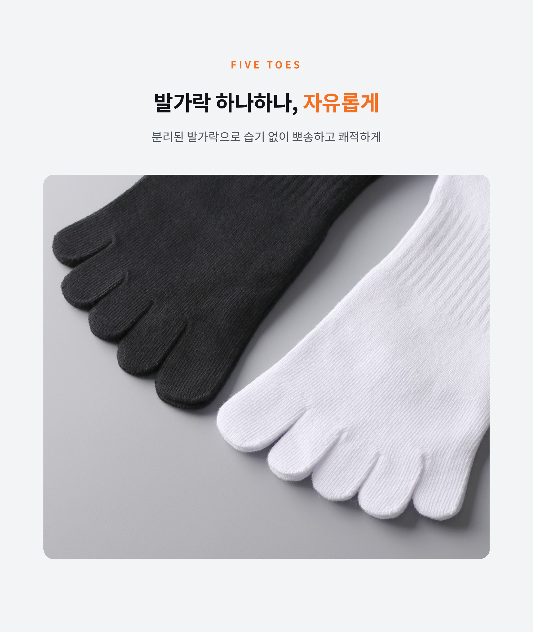 매일양말 발가락 양말 프리토 5days set