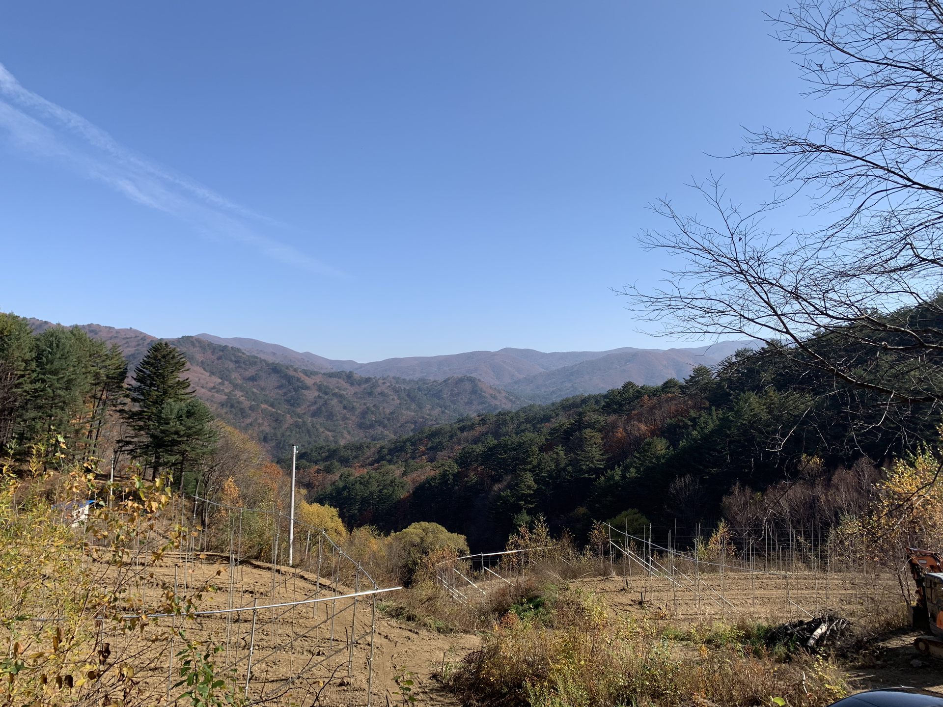a906f03f5bc59.png