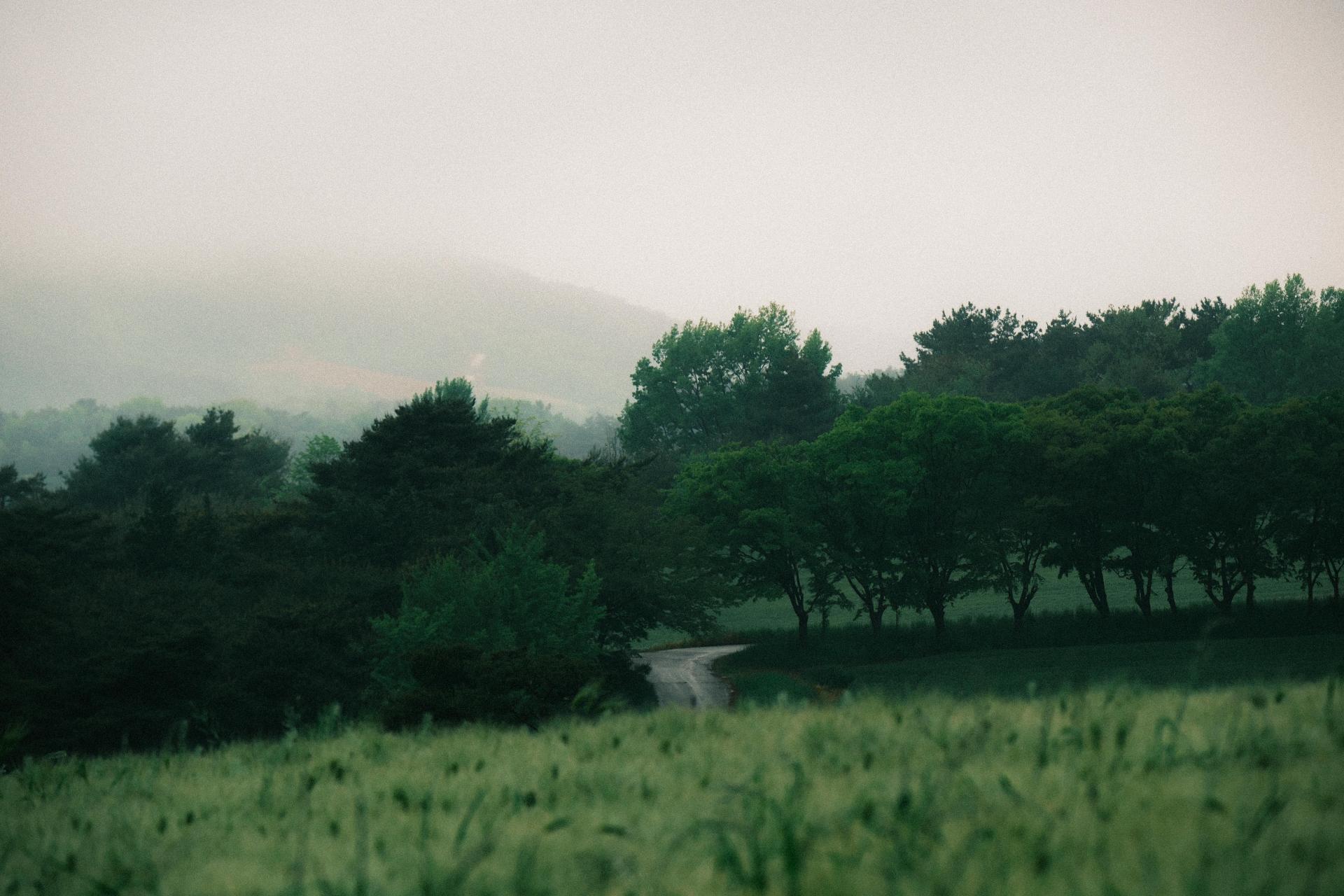 eb1c9357c98b4.jpg