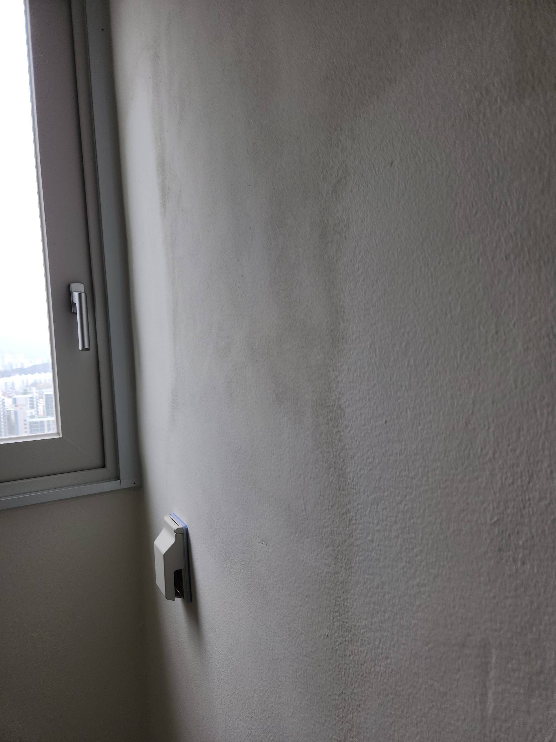 b22773617c874.jpg