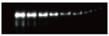 09faae237b757.png