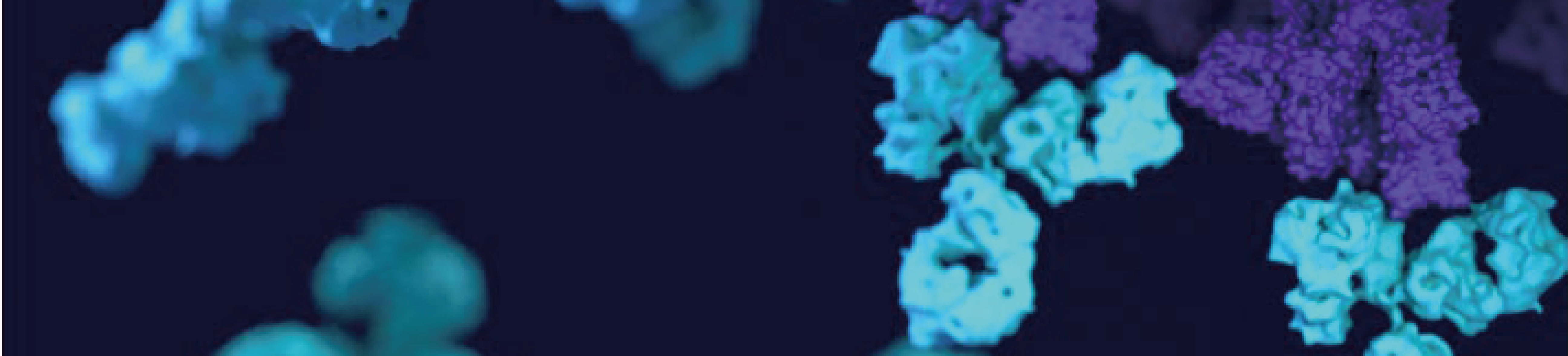 0c739383ef1cd.png