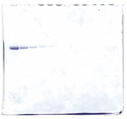 178650a49de0a.png