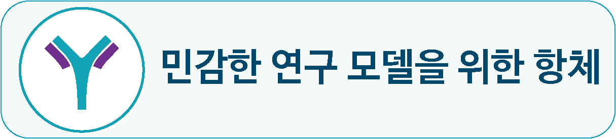 1ca3900050513.png