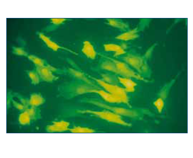1e5d7dd981f4f.png