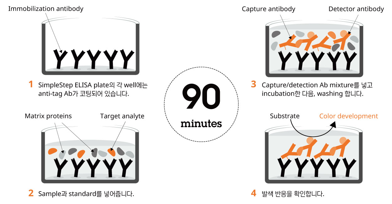 90분 만에 얻는 민감하고 정확한 ELISA 결과, SimpleStep ELISA® : Abcam 제품 소개