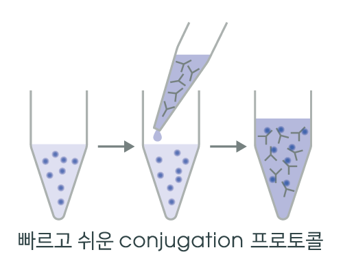 [Abcam] Antibody Conjugation Kit 15% 할인 행사 (~4/30) : 할인행사 및 각종 Event