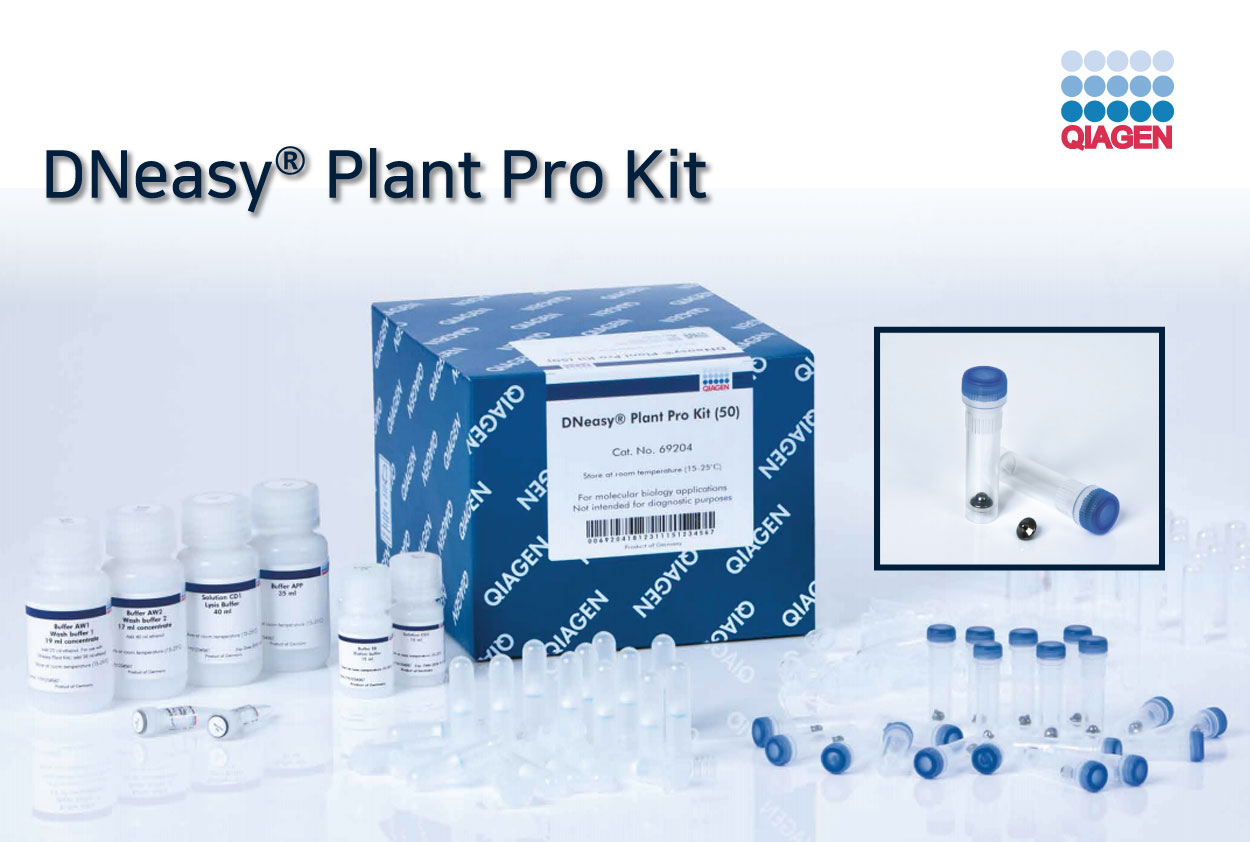 DNeasy Plant Pro Kit 다양한 식물에서 gDNA 추출 주요브랜드 자세한 product information