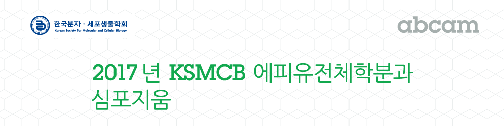 59e454f3499d1.png