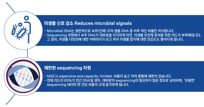 81b5cb2010ee1.jpg