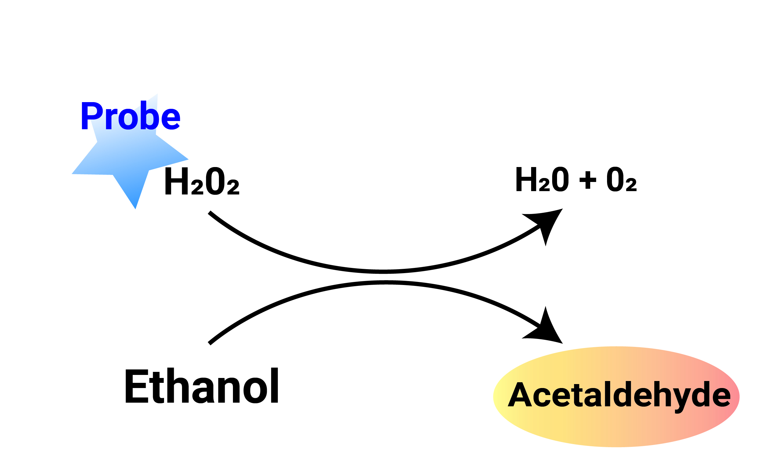 Ethanol Assay kit Abcam 제품 소개