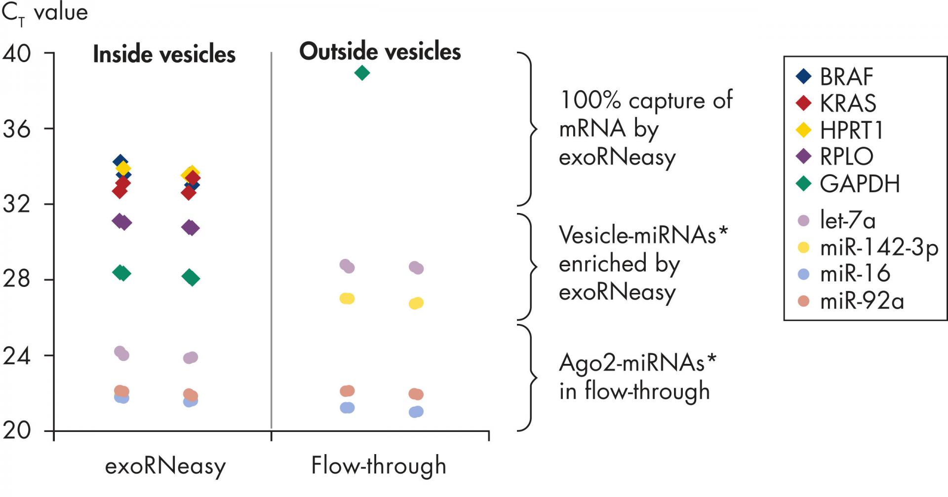 Exosome 연구를 위한 QIAGEN 제품이 준비되어 있습니다! 주요브랜드 자세한 product information