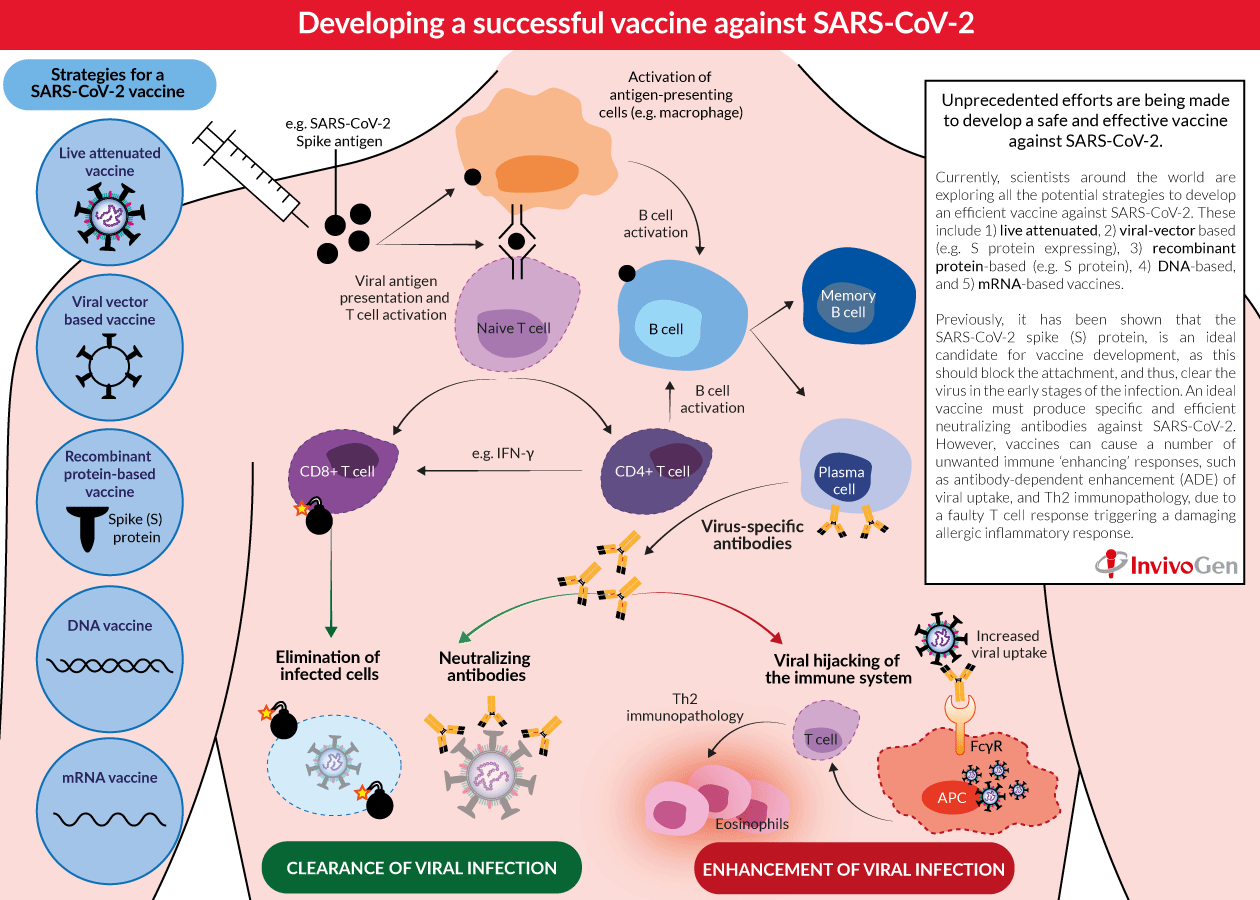 Spotlight on COVID-19: Vaccine development : 주요브랜드 자세한 product information