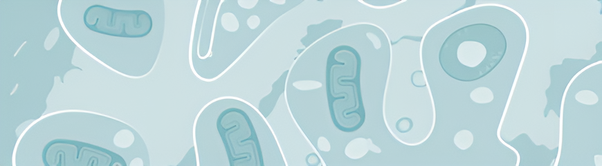9c5cef93815a7.png