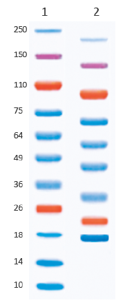 a2191c23e8ec8.png