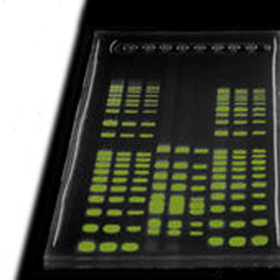 a231688aa30e1.png