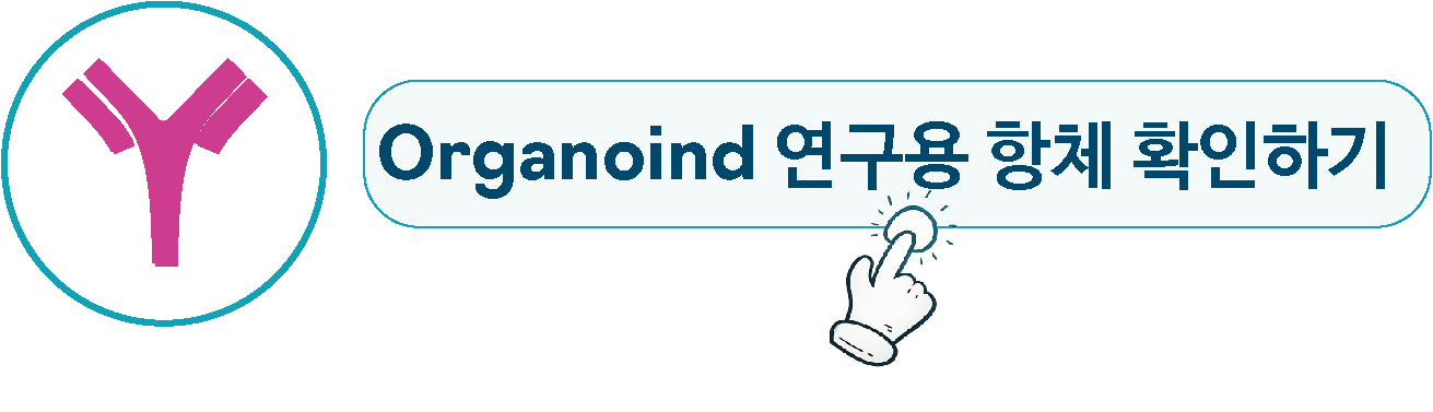 a7694730b1a3f.png