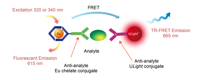 LANCE TR-FRET Assays