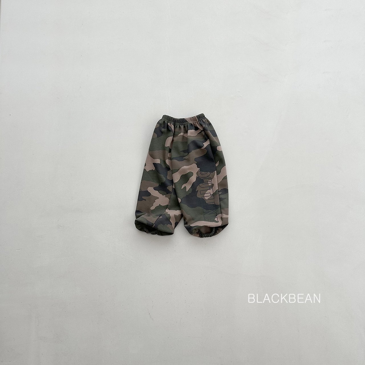 카모pt