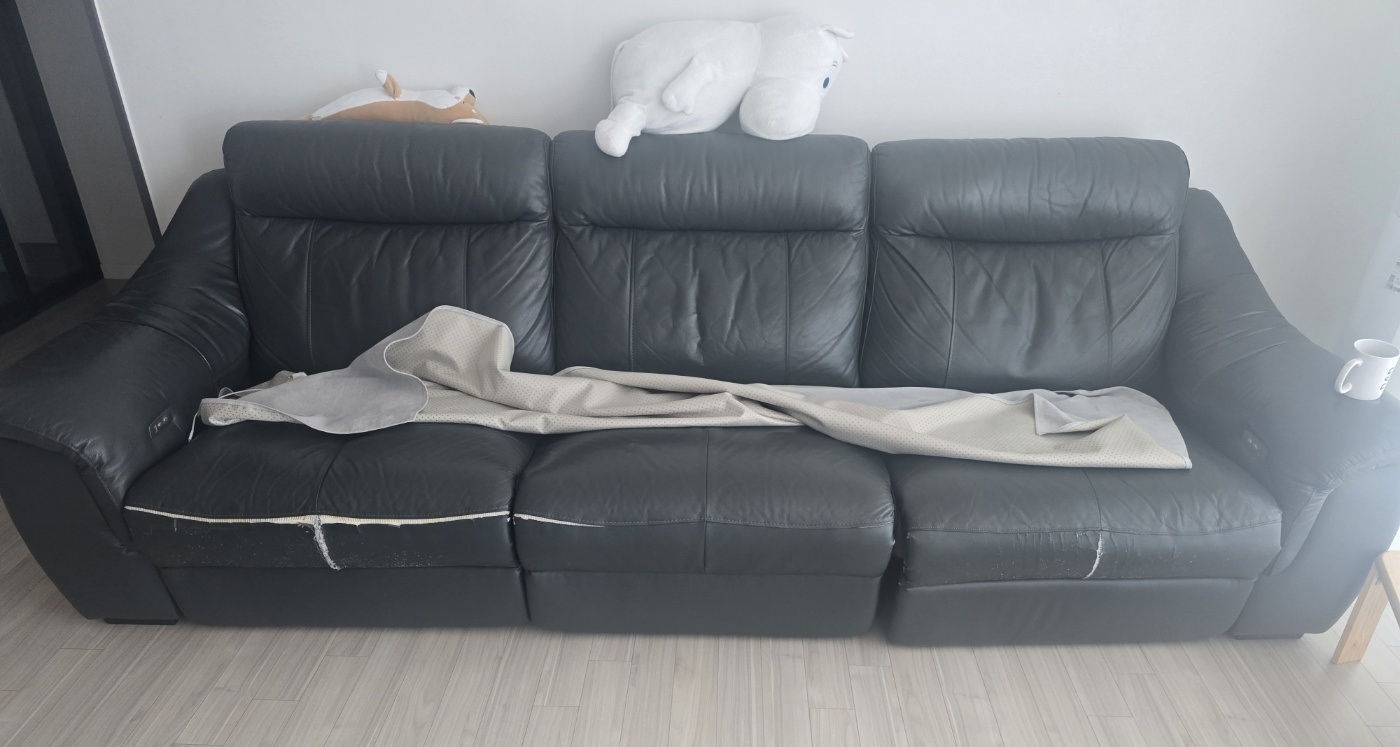 10788c9cb55c5.jpg