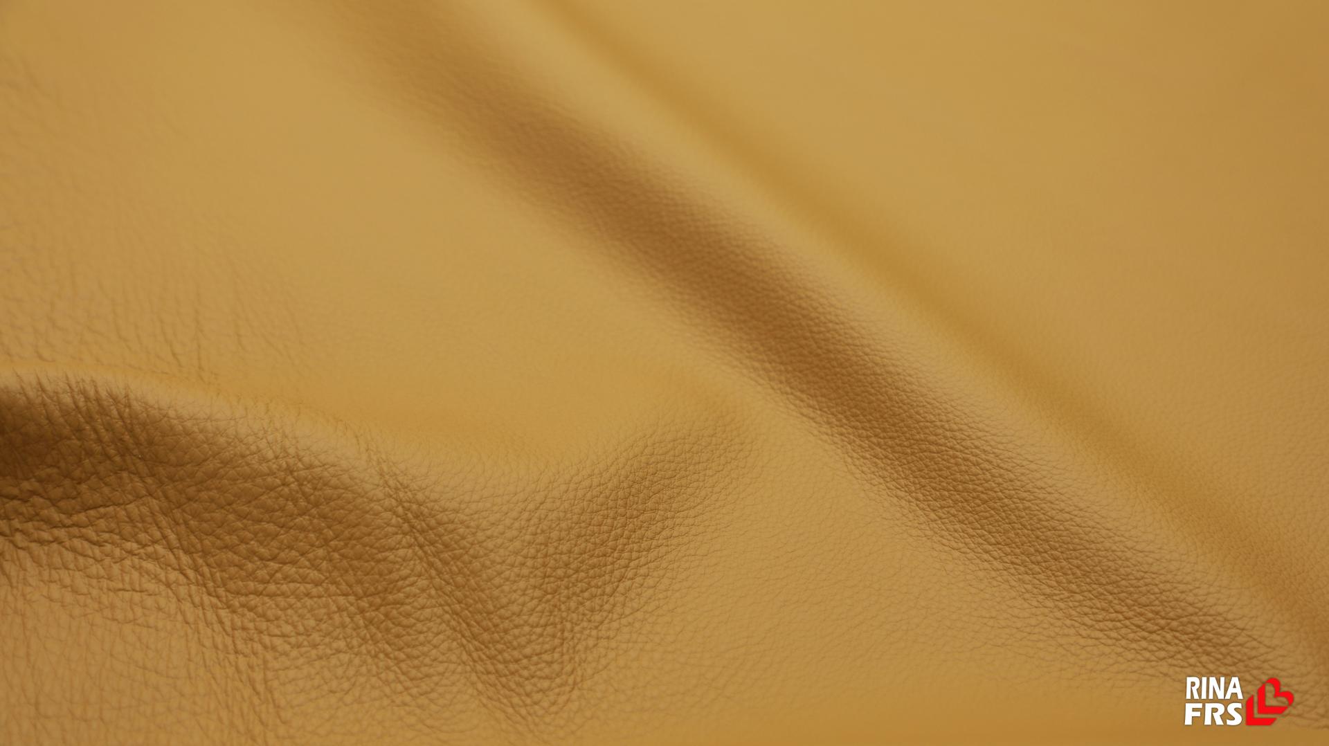 aae7cb51ba8d8.jpg