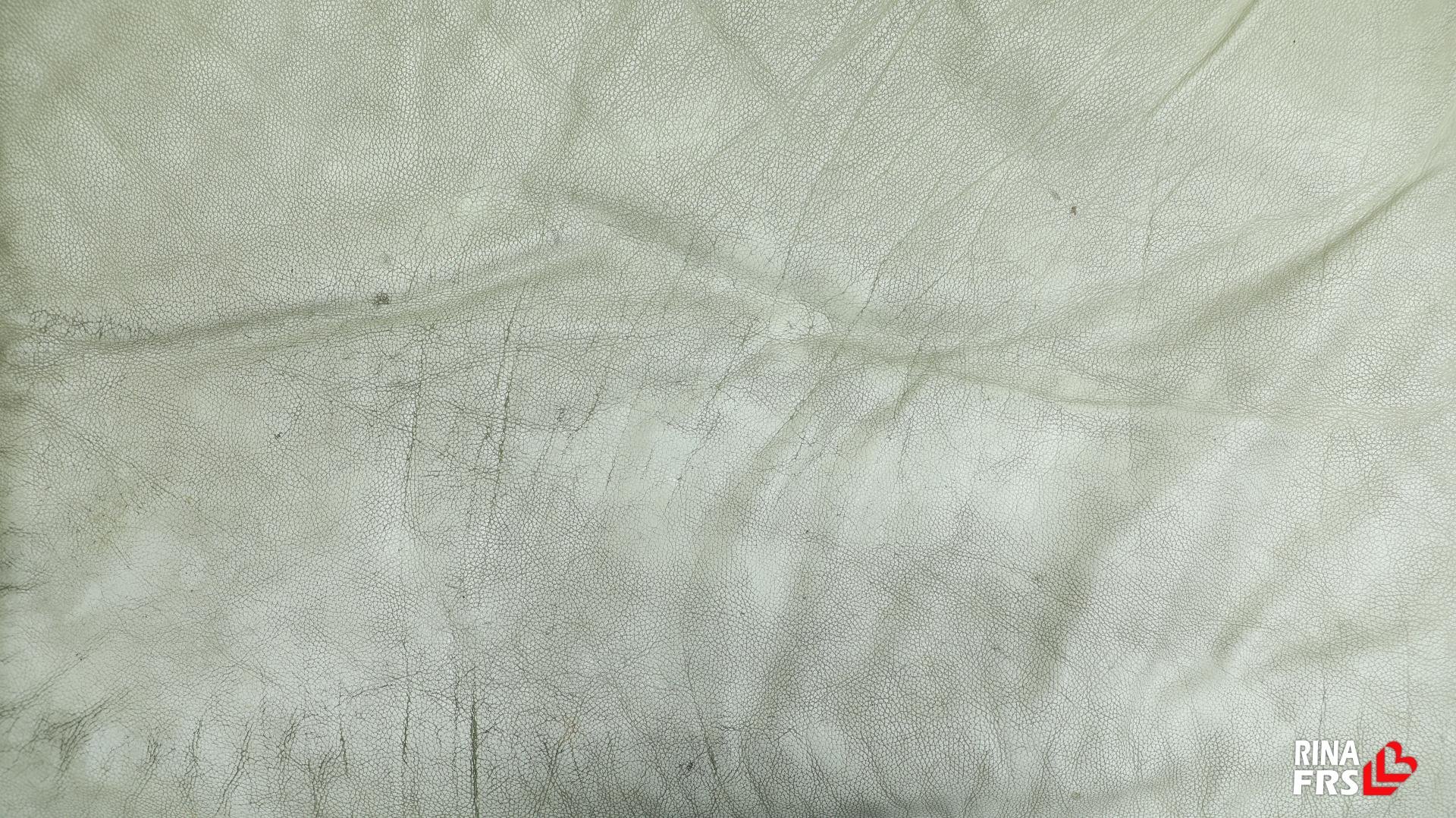 b29174ebe1790.jpg