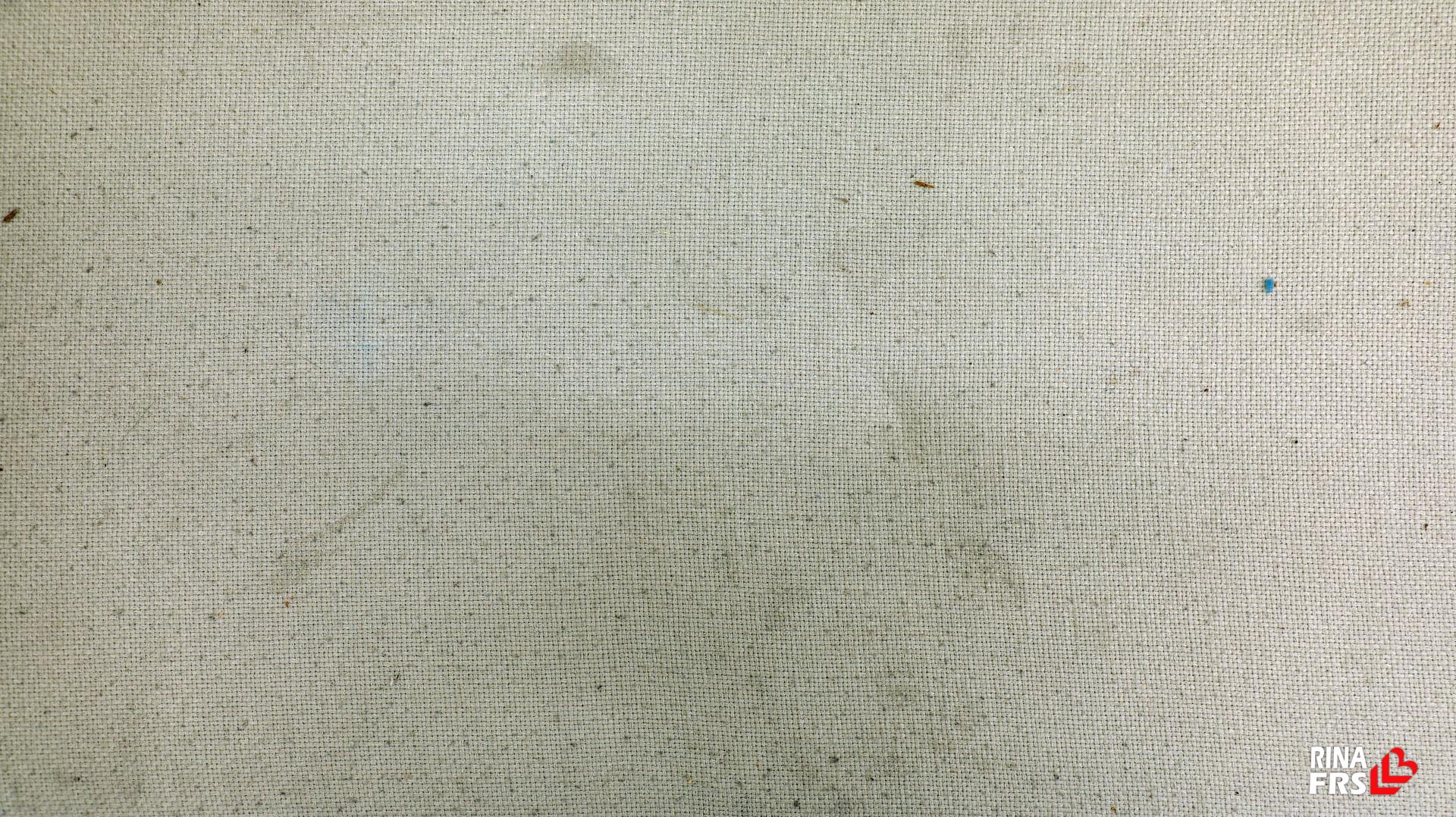 ccc9765b56203.jpg