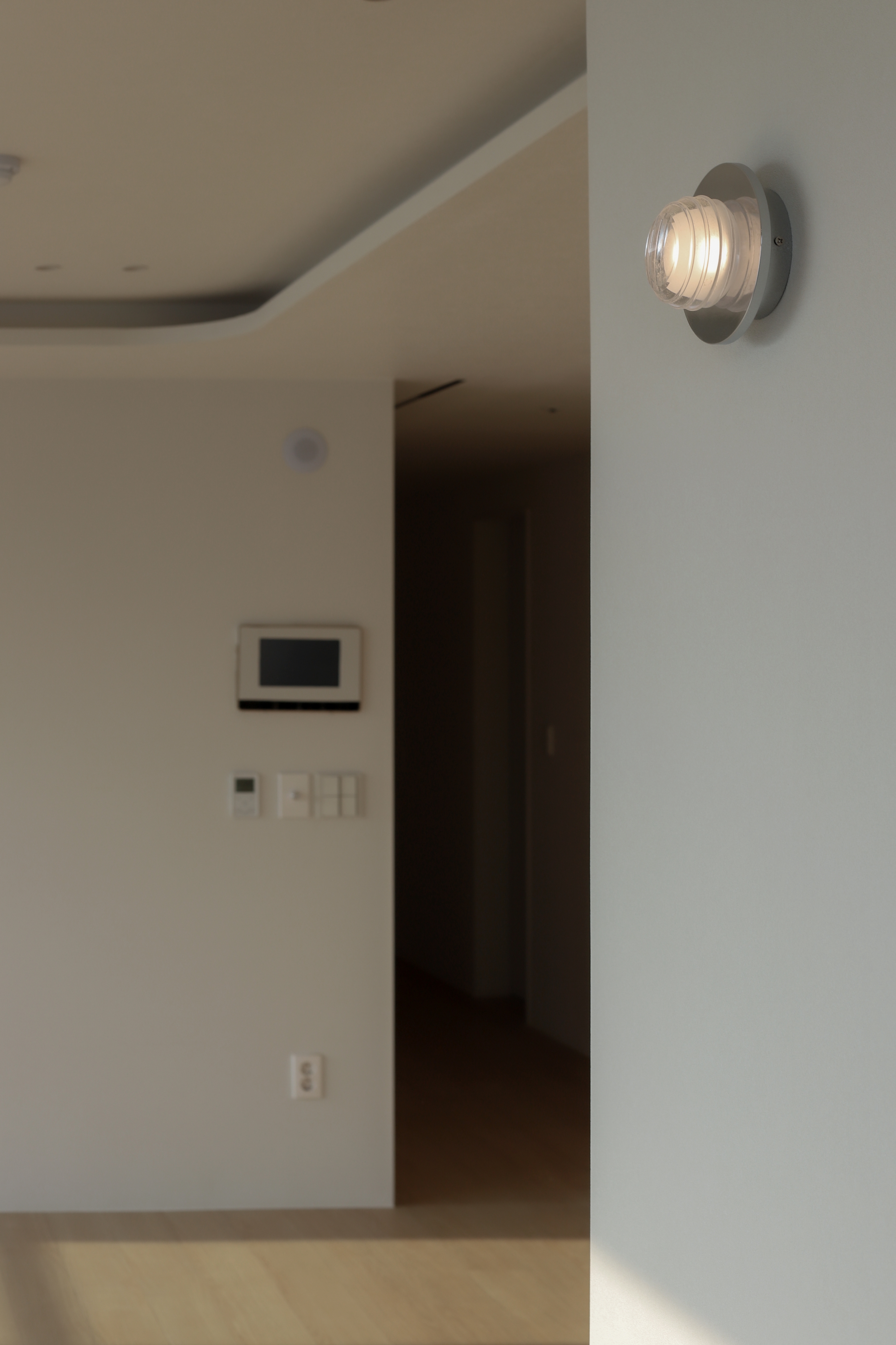 945ea7d9819b9.jpg