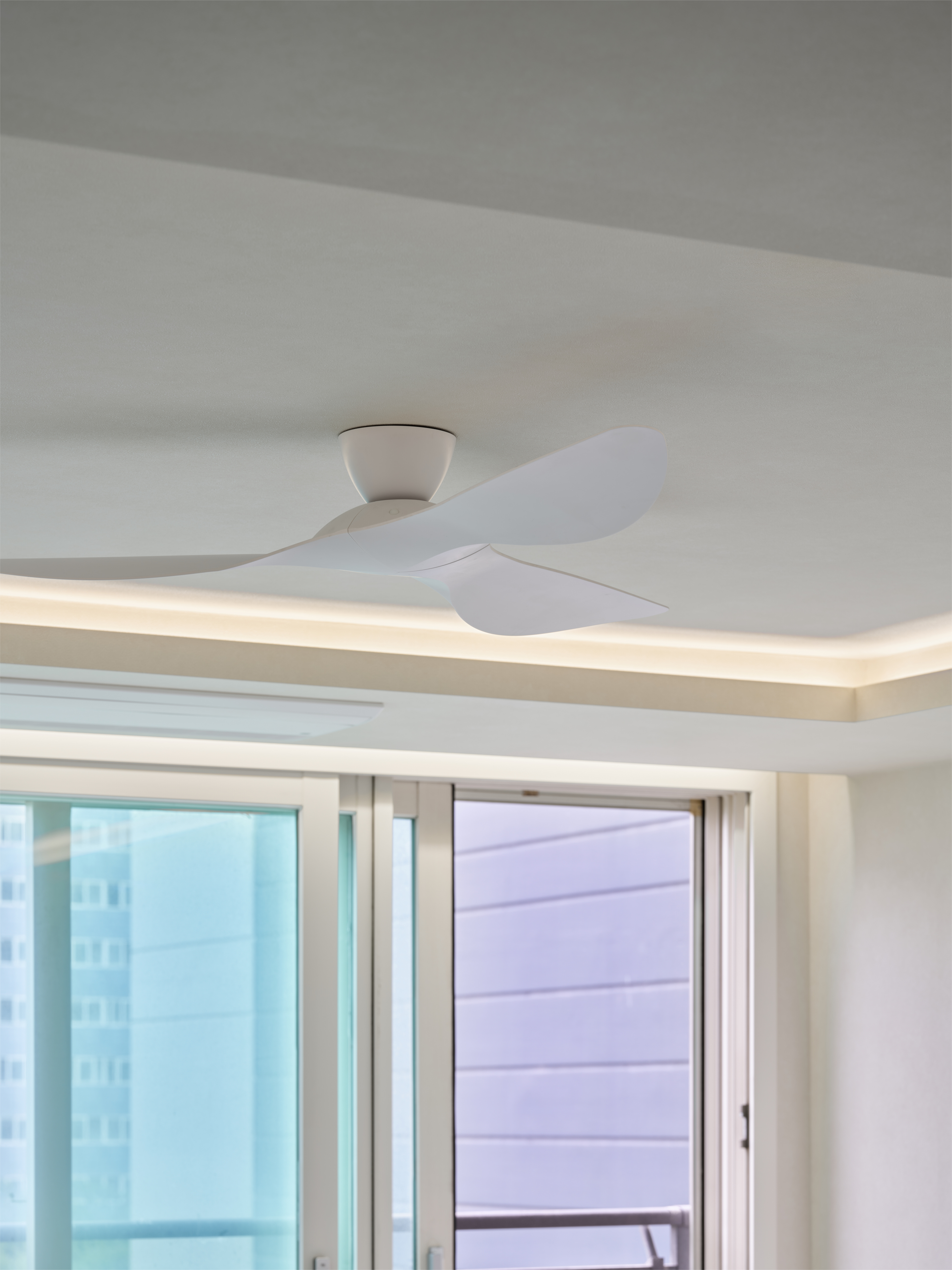 ac1ee241a6ed8.jpg