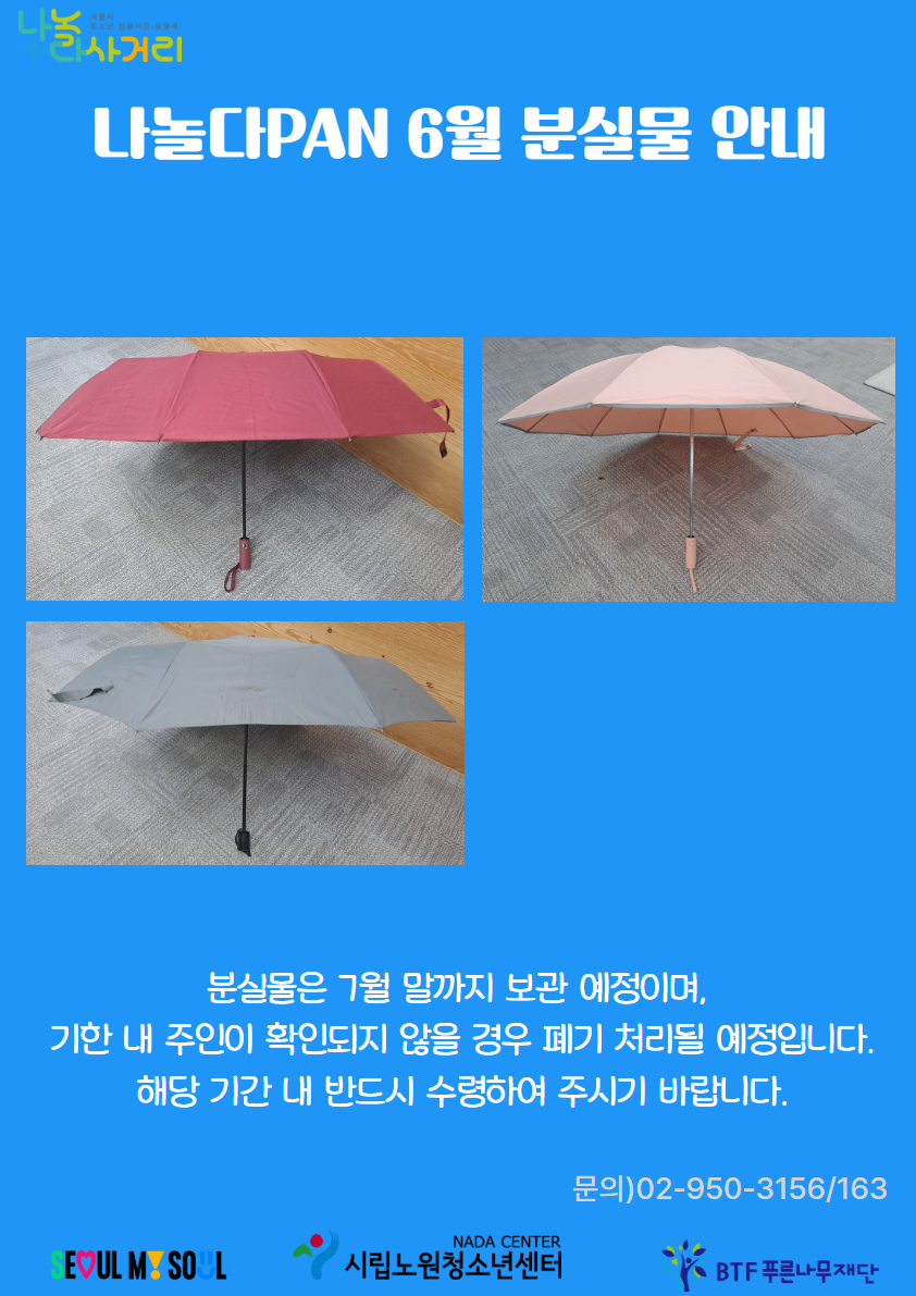 31c995d2aa35d.jpg