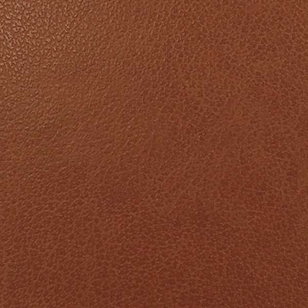 cc74d72b652e7.jpg