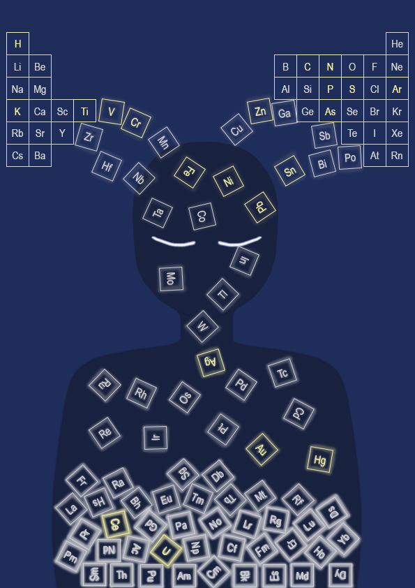 65ede62e71bfd.png