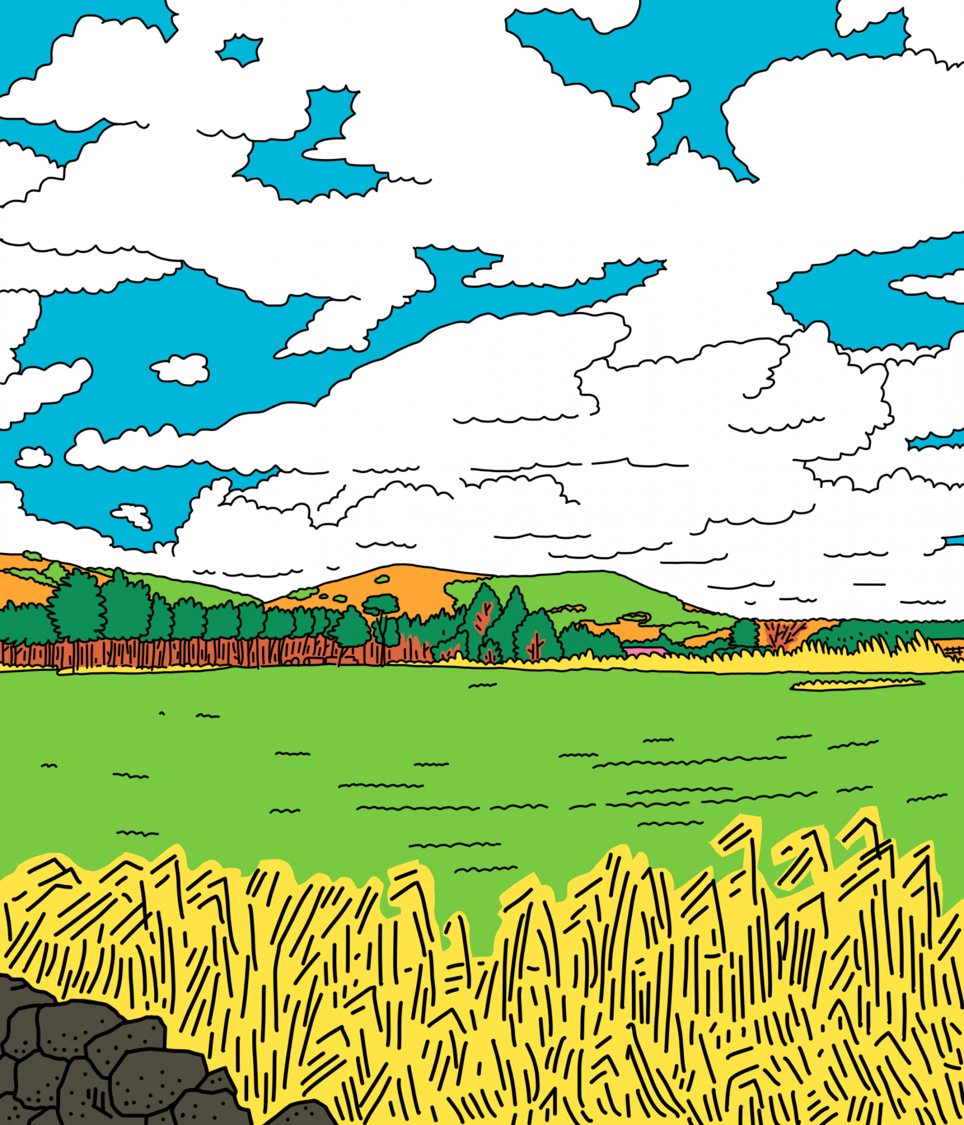 6e6d337d671a9.png
