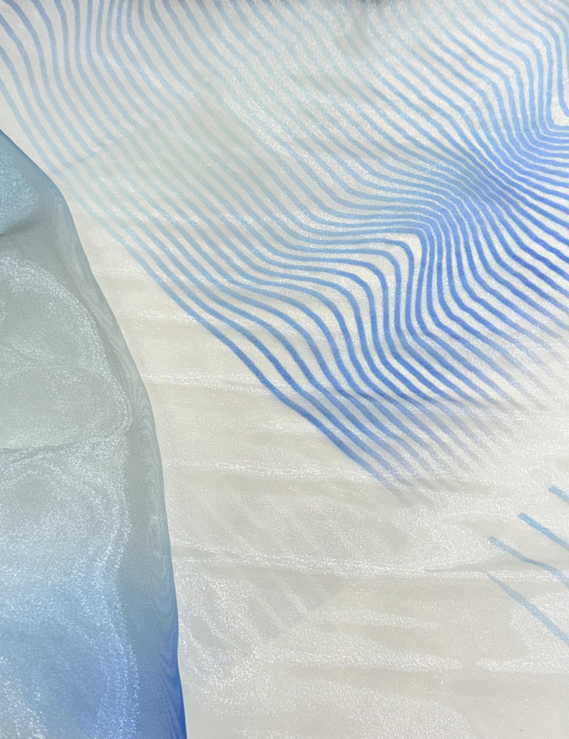 2de41b427f02d.jpg