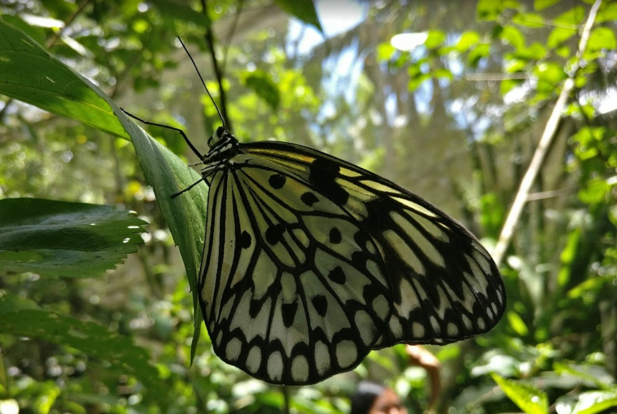 1128a3f93e70d.png