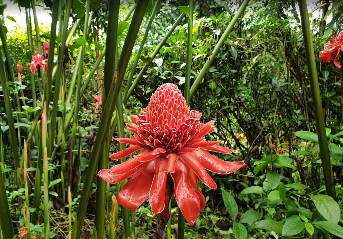 456c0f95fdcac.png