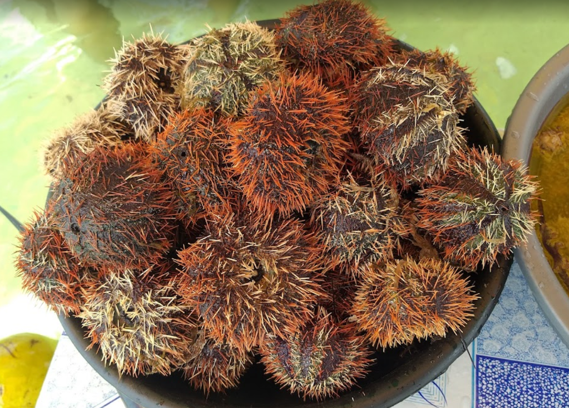 7c276957e30c1.png