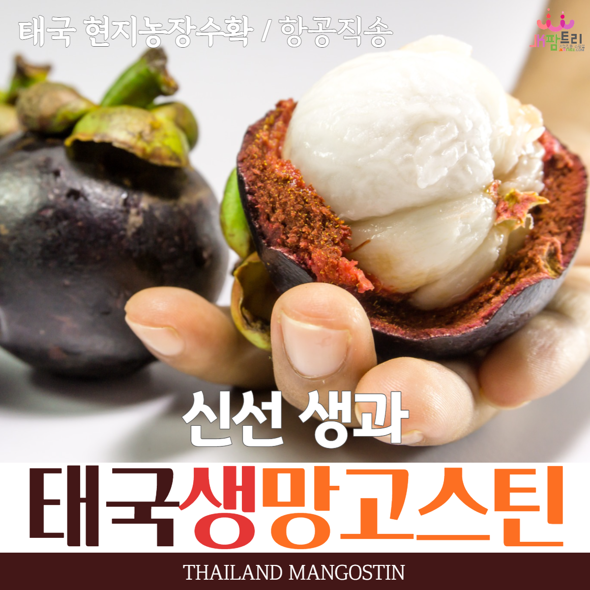 태국 생망고스틴3kg, 열매 중의 여왕