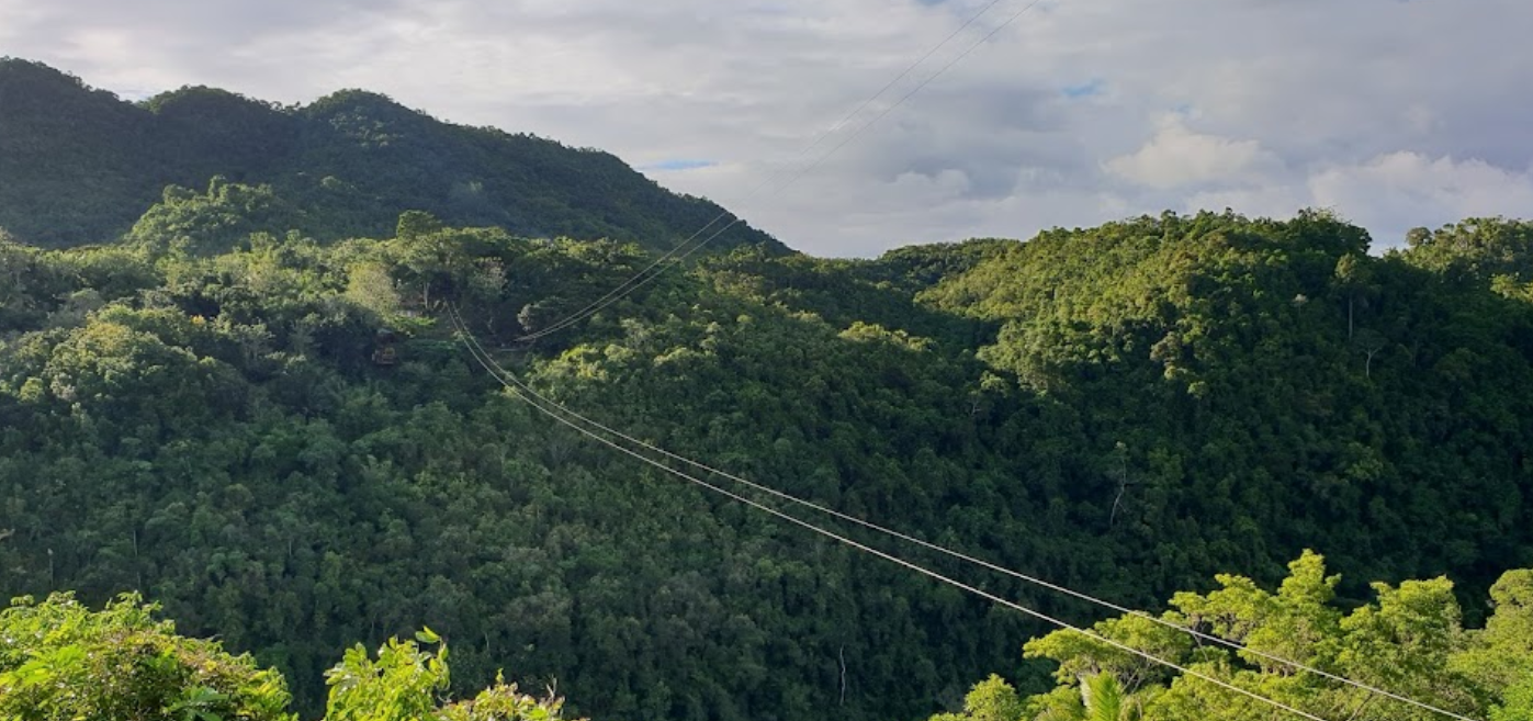 afee81395474a.png