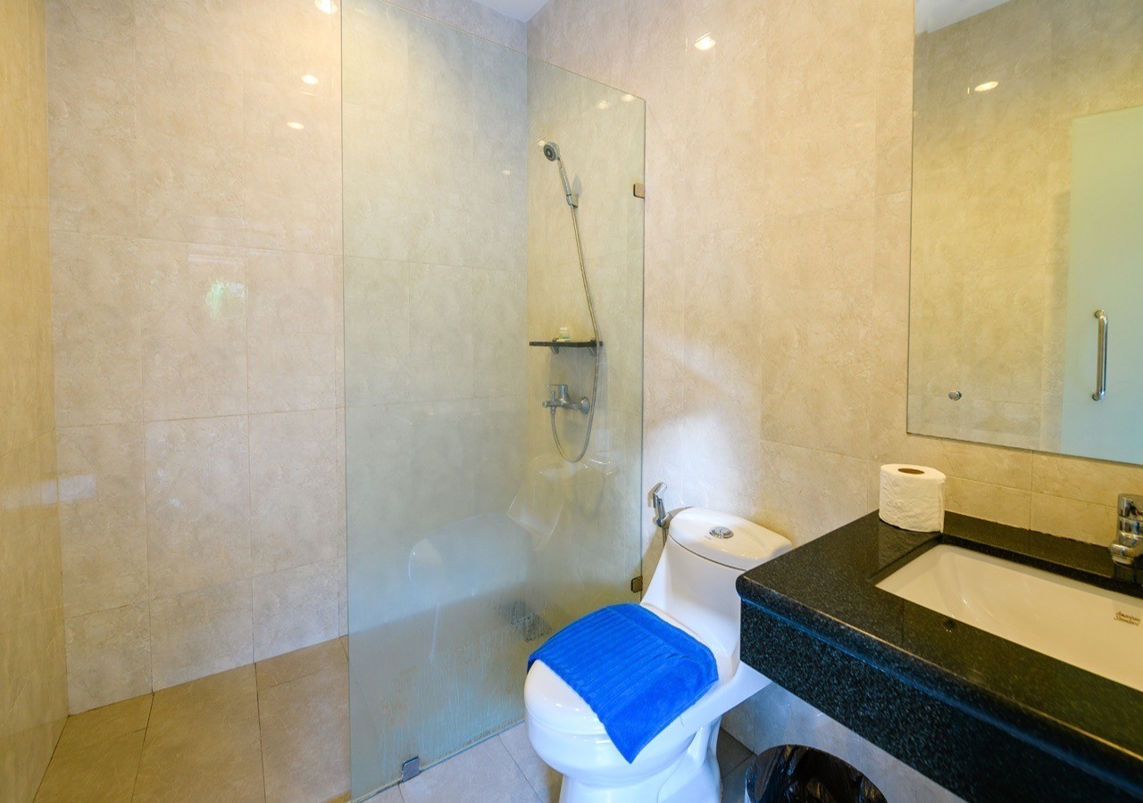 d42750d89da2b.jpg