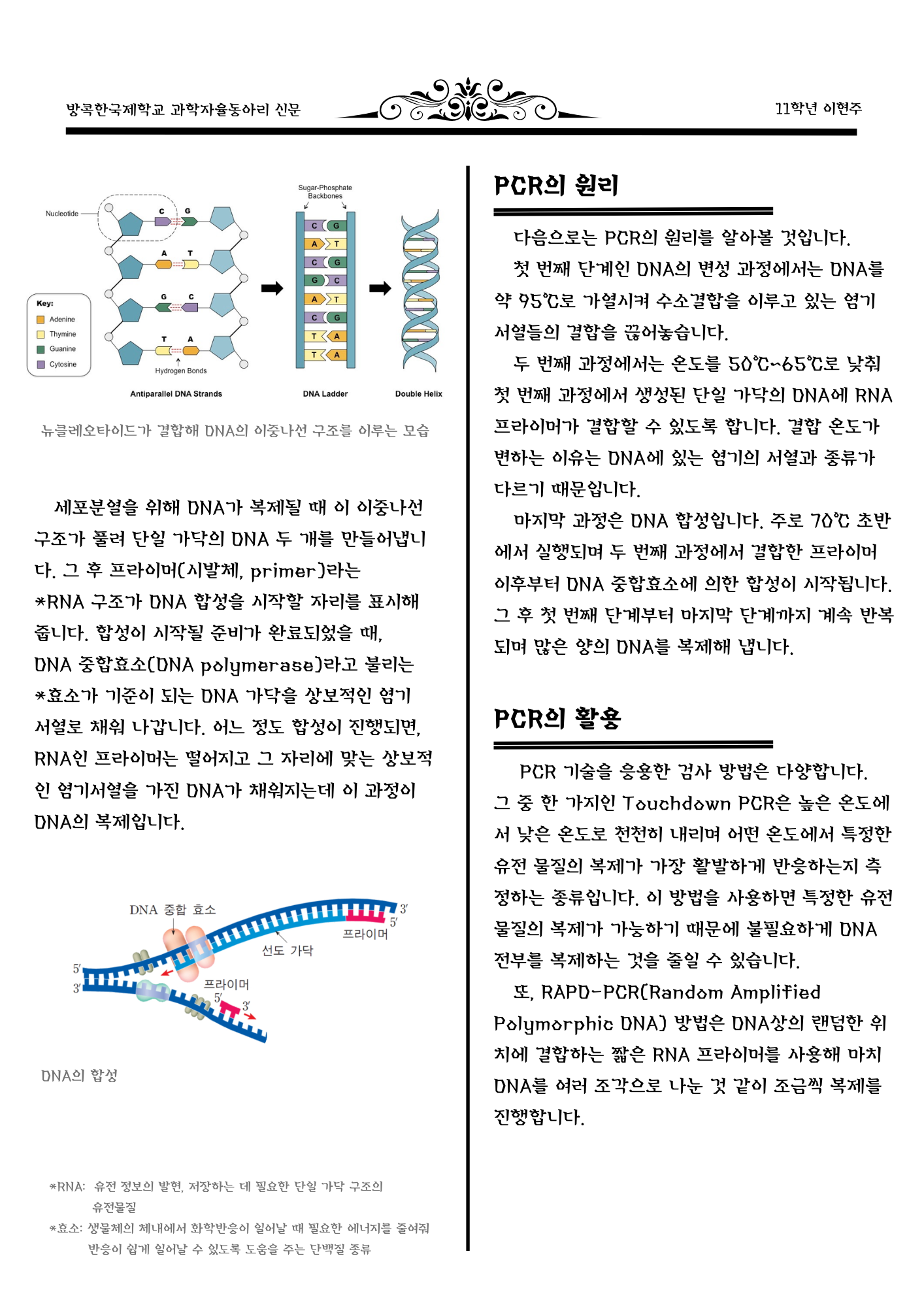 b7fb313129566.png