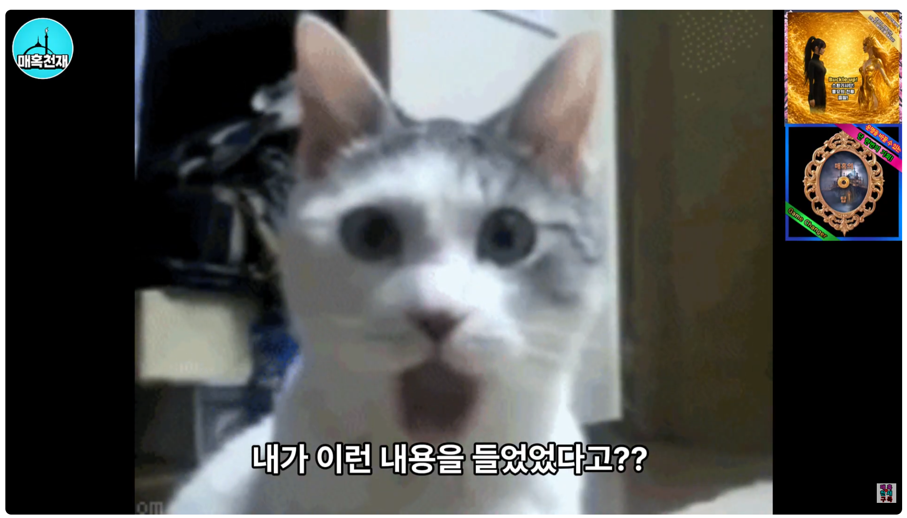 711431959f797.png