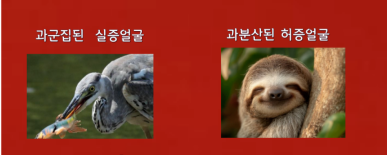 8b8a154c6ef7b.png
