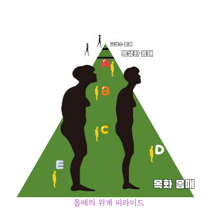 9505cfb6dce2a.png