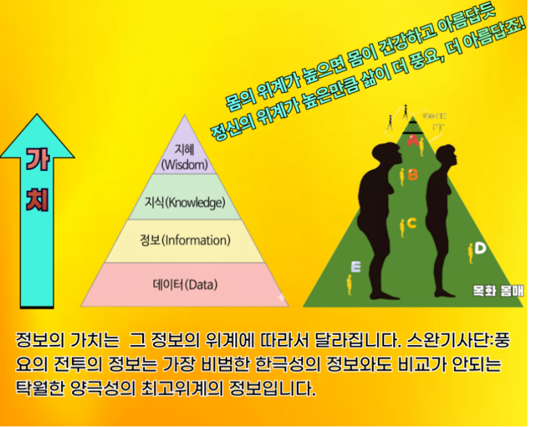 96803afef4475.png