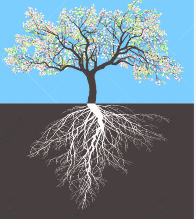 a96c09d89bf91.png